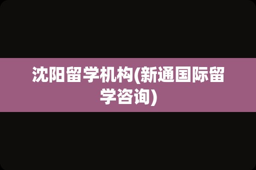 沈阳留学机构(新通国际留学咨询)
