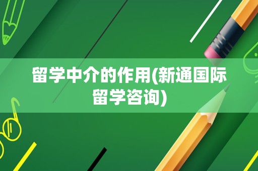 留学中介的作用(新通国际留学咨询)