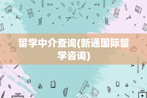 留学中介查询(新通国际留学咨询)