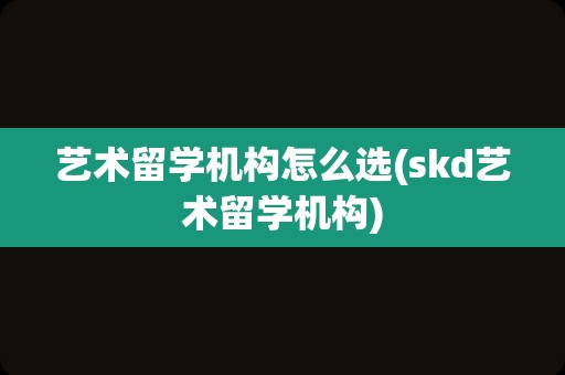 艺术留学机构怎么选(skd艺术留学机构)