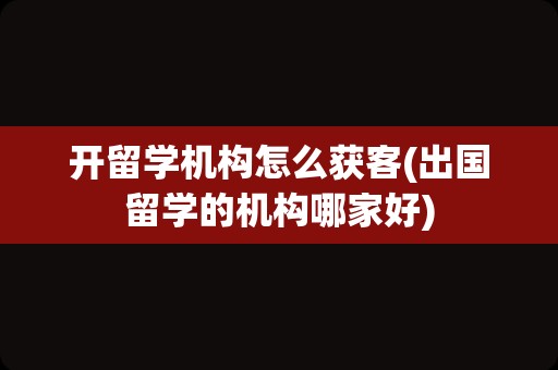 开留学机构怎么获客(出国留学的机构哪家好)