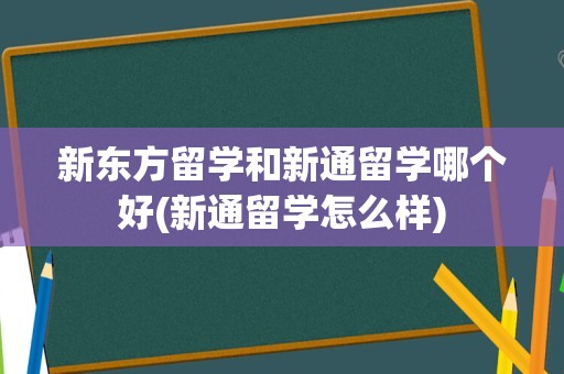 新东方留学和新通留学哪个好(新通留学怎么样)
