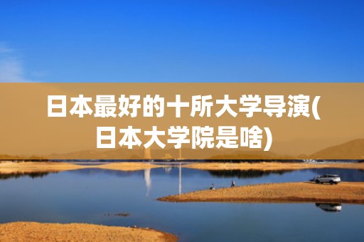 日本最好的十所大学导演(日本大学院是啥)