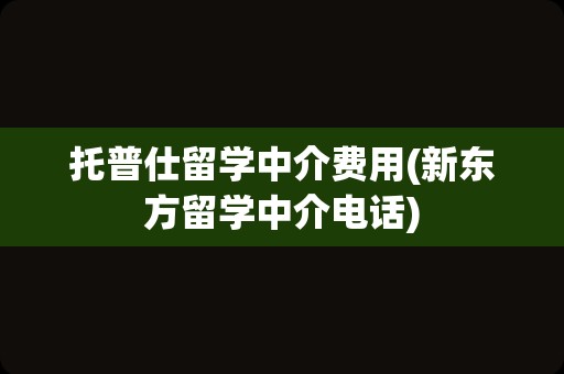 托普仕留学中介费用(新东方留学中介电话)