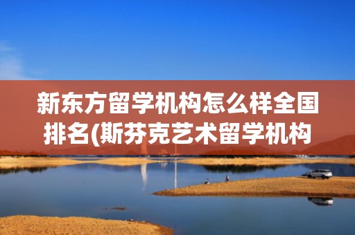 新东方留学机构怎么样全国排名(斯芬克艺术留学机构官网)