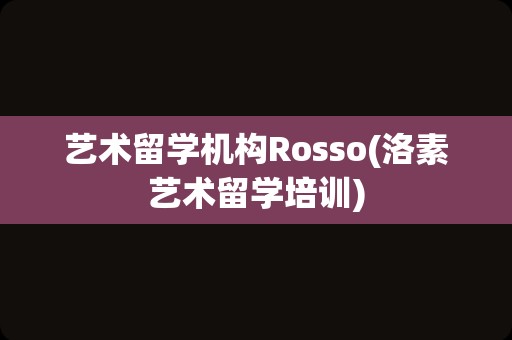 艺术留学机构Rosso(洛素艺术留学培训)