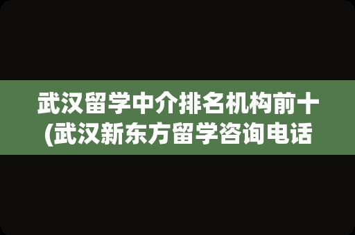 武汉留学中介排名机构前十(武汉新东方留学咨询电话)