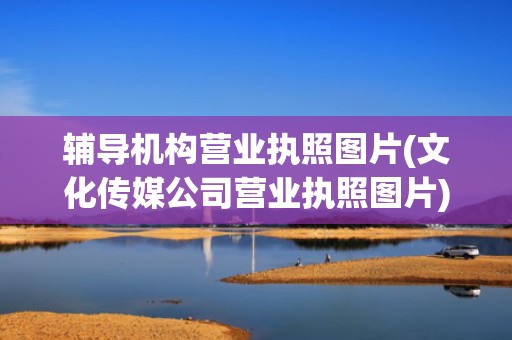 辅导机构营业执照图片(文化传媒公司营业执照图片)