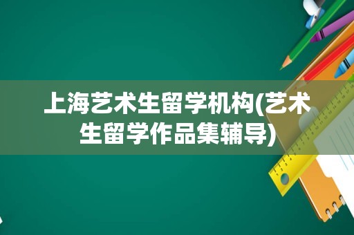 上海艺术生留学机构(艺术生留学作品集辅导)