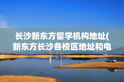 长沙新东方留学机构地址(新东方长沙各校区地址和电话是多少)