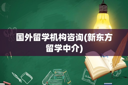 国外留学机构咨询(新东方留学中介)