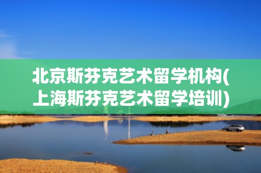 北京斯芬克艺术留学机构(上海斯芬克艺术留学培训)