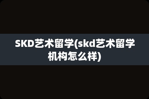 SKD艺术留学(skd艺术留学机构怎么样)