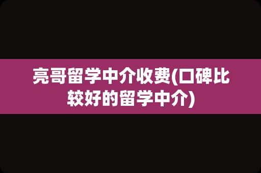 亮哥留学中介收费(口碑比较好的留学中介)