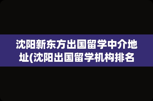 沈阳新东方出国留学中介地址(沈阳出国留学机构排名)
