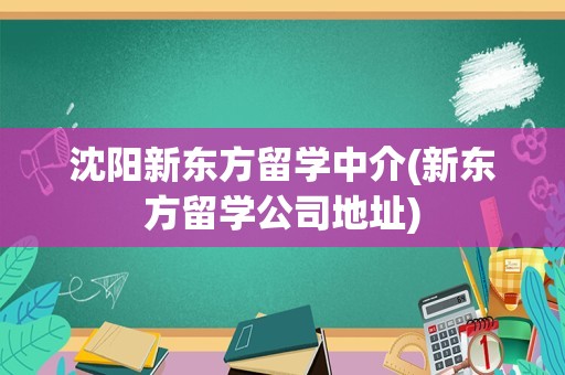 沈阳新东方留学中介(新东方留学公司地址)