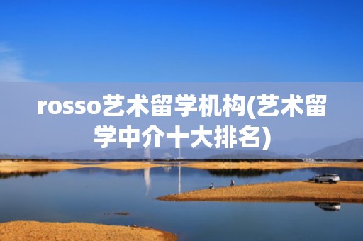 rosso艺术留学机构(艺术留学中介十大排名)
