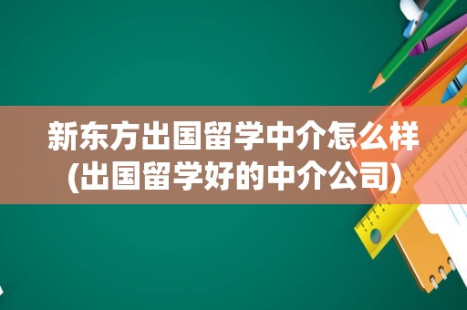 新东方出国留学中介怎么样(出国留学好的中介公司)