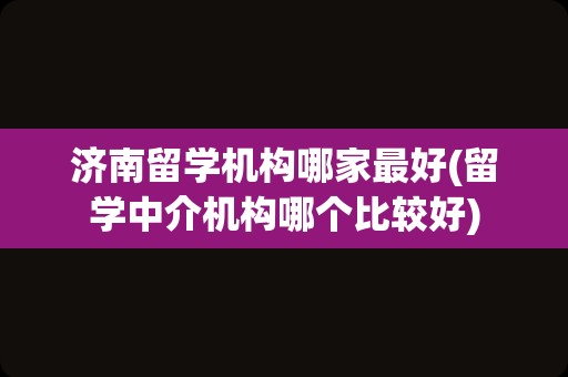 济南留学机构哪家最好(留学中介机构哪个比较好)