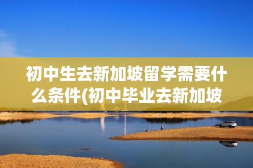 初中生去新加坡留学需要什么条件(初中毕业去新加坡留学高中)