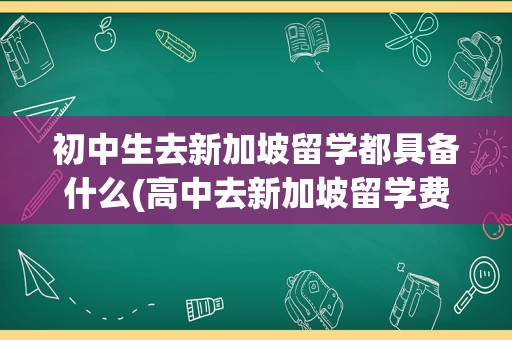 初中生去新加坡留学都具备什么(高中去新加坡留学费用)