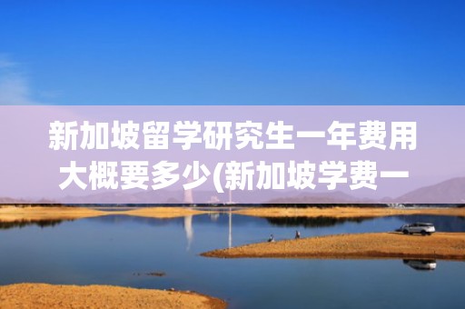 新加坡留学研究生一年费用大概要多少(新加坡学费一年多少钱)
