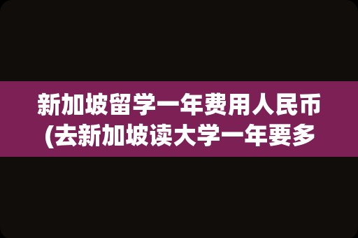 新加坡留学一年费用人民币(去新加坡读大学一年要多少钱)