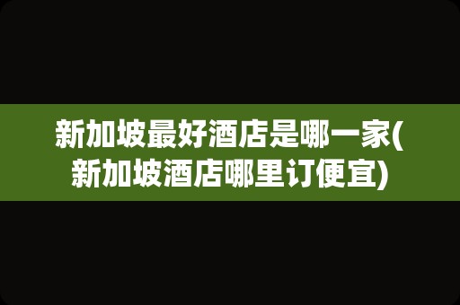 新加坡最好酒店是哪一家(新加坡酒店哪里订便宜)