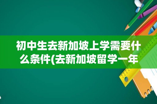 初中生去新加坡上学需要什么条件(去新加坡留学一年要多少钱)