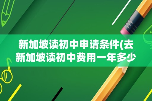 新加坡读初中申请条件(去新加坡读初中费用一年多少)