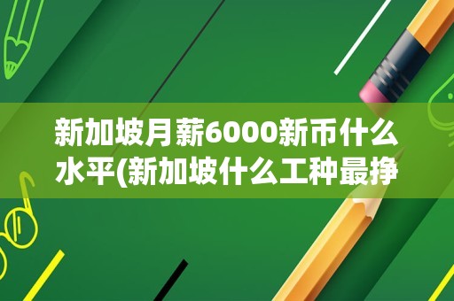 新加坡月薪6000新币什么水平(新加坡什么工种最挣钱)