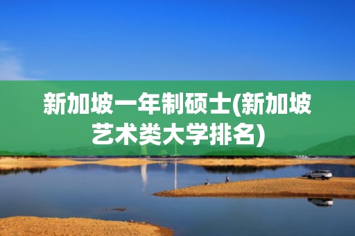 新加坡一年制硕士(新加坡艺术类大学排名)