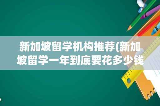 新加坡留学机构推荐(新加坡留学一年到底要花多少钱)
