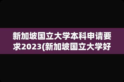 新加坡国立大学本科申请要求2023(新加坡国立大学好申请吗)