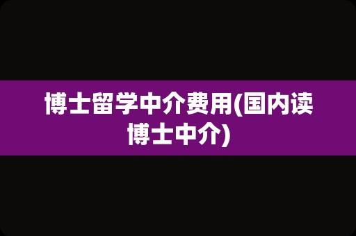 博士留学中介费用(国内读博士中介)