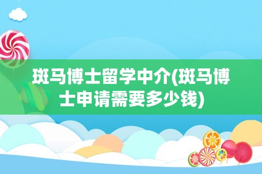 斑马博士留学中介(斑马博士申请需要多少钱)