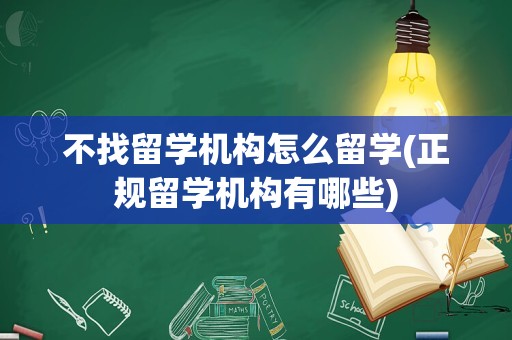 不找留学机构怎么留学(正规留学机构有哪些)
