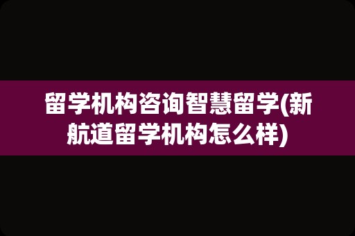 留学机构咨询智慧留学(新航道留学机构怎么样)