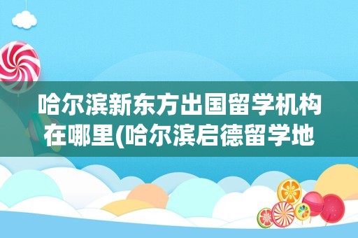 哈尔滨新东方出国留学机构在哪里(哈尔滨启德留学地址)