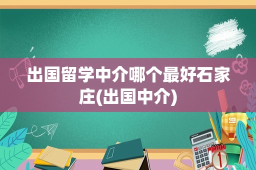 出国留学中介哪个最好石家庄(出国中介)