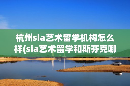 杭州sia艺术留学机构怎么样(sia艺术留学和斯芬克哪个好)