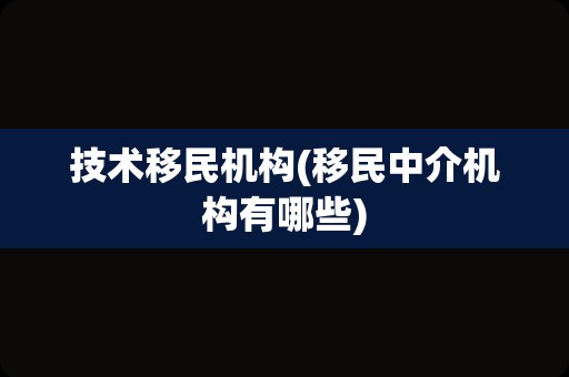 技术移民机构(移民中介机构有哪些)