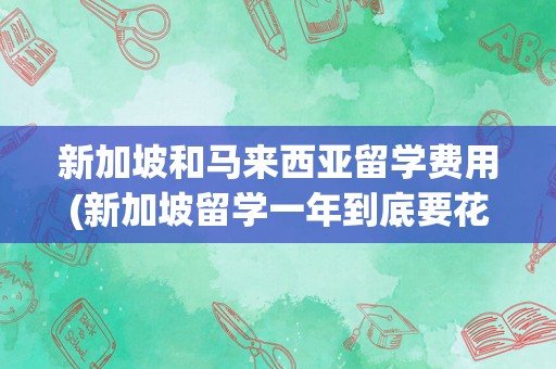 新加坡和马来西亚留学费用(新加坡留学一年到底要花多少人民币)