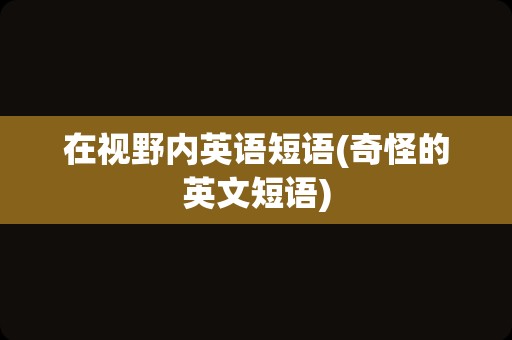在视野内英语短语(奇怪的英文短语)