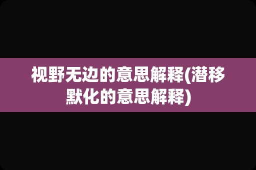 视野无边的意思解释(潜移默化的意思解释)