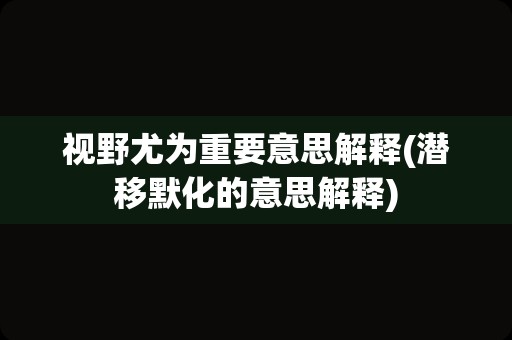 视野尤为重要意思解释(潜移默化的意思解释)