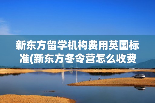 新东方留学机构费用英国标准(新东方冬令营怎么收费)