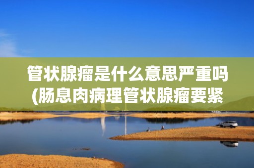 管状腺瘤是什么意思严重吗(肠息肉病理管状腺瘤要紧吗)