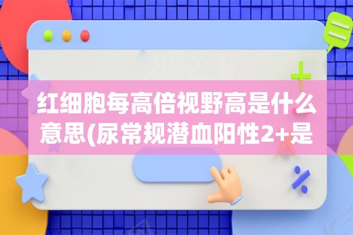 红细胞每高倍视野高是什么意思(尿常规潜血阳性2+是什么意思)