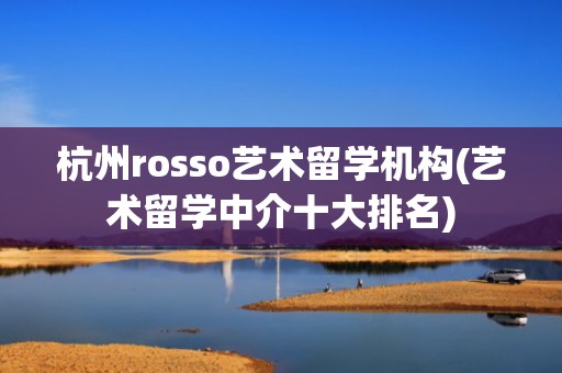 杭州rosso艺术留学机构(艺术留学中介十大排名)